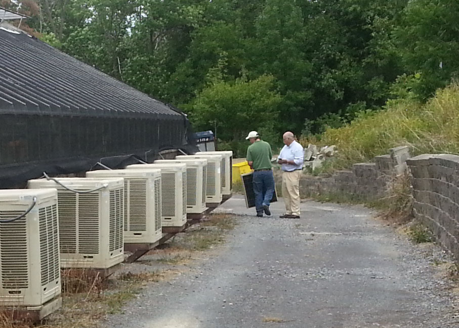 Two Water Wise employees working on cooling systems